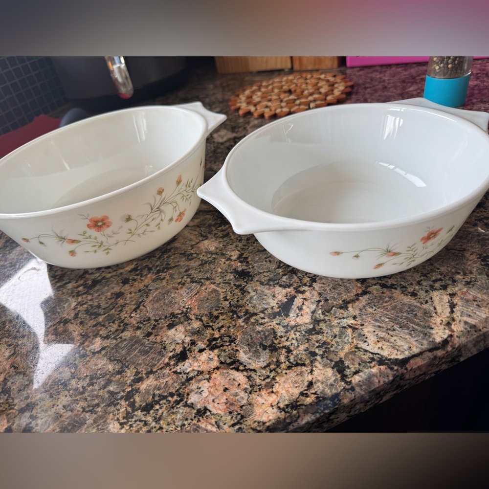 VINTAGE Pyrex Spring Garden casserole dish set of 2